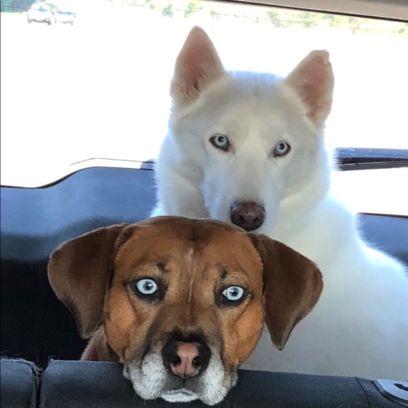 Meet your Posher, Sherri - Picture 4 of 6